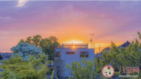 六月有哪些小期許 你對六月有哪些期待呢