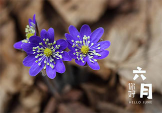 2021六月第一天的經典文案說說 2021六月第一天你好個性文案句子