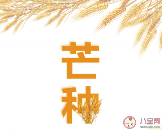 2021芒種節氣圖片早安心語說說 2021芒種節氣早安句子帶圖 2021芒種節氣圖片早安心語說說 2021芒種節氣早安句子帶圖