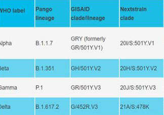 世衛用希臘字母命名新冠病毒變異株 越南變異毒株混合體有多厲害