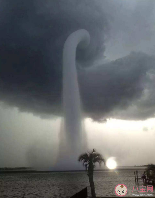 澳門出現(xiàn)龍吸水奇觀 龍吸水現(xiàn)象是怎么形成的