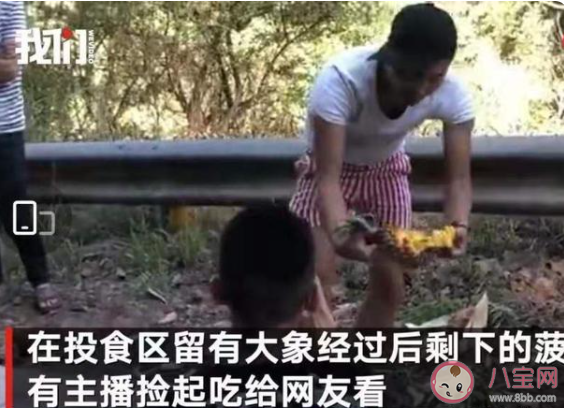 網絡主播吃播象群吃剩的菠蘿 如何看待這種行為 網絡主播吃播象群吃剩的菠蘿 如何看待這種行為