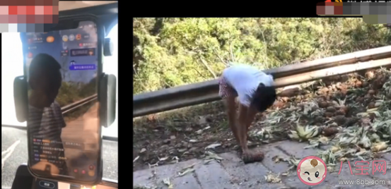 網絡主播吃播象群吃剩的菠蘿 如何看待這種行為 網絡主播吃播象群吃剩的菠蘿 如何看待這種行為