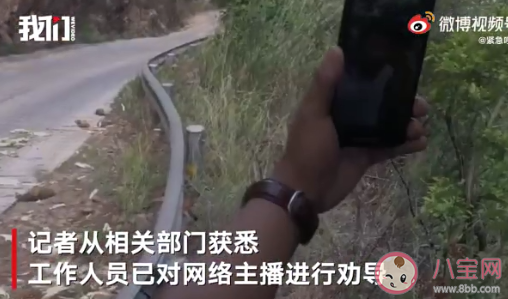 網絡主播吃播象群吃剩的菠蘿 如何看待這種行為 網絡主播吃播象群吃剩的菠蘿 如何看待這種行為