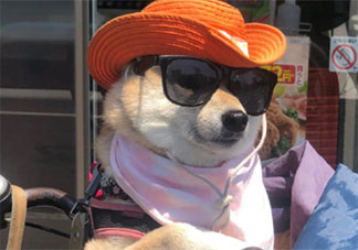 素顏不化妝被領導說邋遢是怎么回事 上班一定要化妝嗎