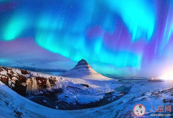 冰島是世界上唯一沒有蚊子的國家 冰島為什么沒有蚊子 冰島是世界上唯一沒有蚊子的國家 冰島為什么沒有蚊子