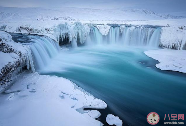 冰島是世界上唯一沒有蚊子的國家 冰島為什么沒有蚊子 冰島是世界上唯一沒有蚊子的國家 冰島為什么沒有蚊子