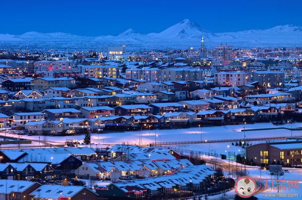 冰島是世界上唯一沒有蚊子的國家 冰島為什么沒有蚊子 冰島是世界上唯一沒有蚊子的國家 冰島為什么沒有蚊子