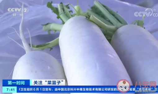 蔬菜價格下降是什么原因 大白菜和圓白菜接近成本價了嗎 蔬菜價格下降是什么原因 大白菜和圓白菜接近成本價了嗎