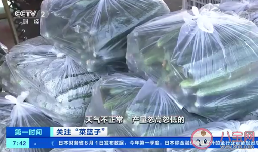 蔬菜價格下降是什么原因 大白菜和圓白菜接近成本價了嗎 蔬菜價格下降是什么原因 大白菜和圓白菜接近成本價了嗎