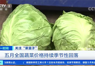 蔬菜價格下降是什么原因 大白菜和圓白菜接近成本價了嗎