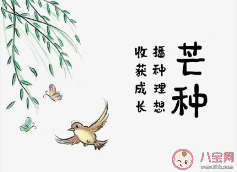2021今日芒種早安心語(yǔ)句子最新 2021芒種早安一句話說說
