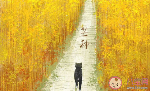 2021今日芒種早安心語(yǔ)句子最新 2021芒種早安一句話說說