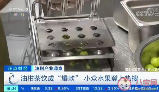 油柑價格飆漲數十倍是怎么回事 小眾水果油柑為什么火了