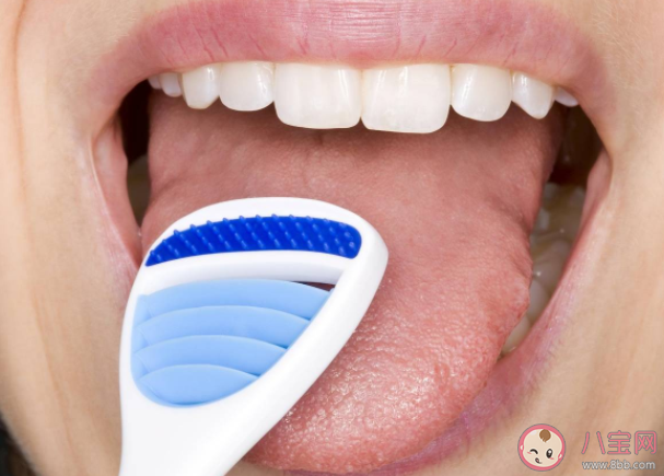 螞蟻莊園6月11日問題答案 舌頭也需要經常清潔嗎 螞蟻莊園6月11日問題答案 舌頭也需要經常清潔嗎