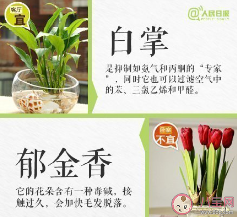 你知道最冷的冷知識是什么 生活中的冷知識分享 你知道最冷的冷知識是什么 生活中的冷知識分享