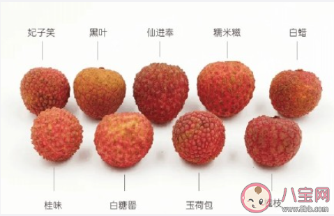 你知道最冷的冷知識是什么 生活中的冷知識分享 你知道最冷的冷知識是什么 生活中的冷知識分享