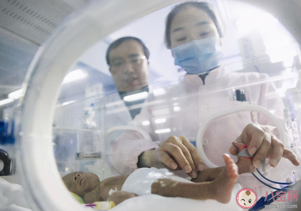 南非女子誕下十胞胎是自然受孕嗎 懷多胞胎受哪些因素影響