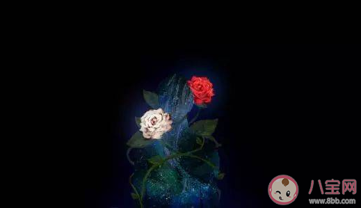 你能接受對象有白月光嗎 對象心里有個白月光怎么辦 你能接受對象有白月光嗎 對象心里有個白月光怎么辦