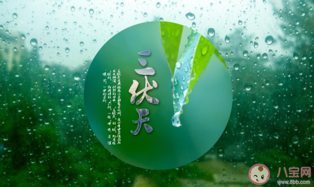 三伏天養胃吃什么好 三伏天飲食注意事項