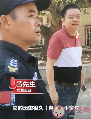 廣西古樹荔枝888元一斤 哪些品種的荔枝比較貴