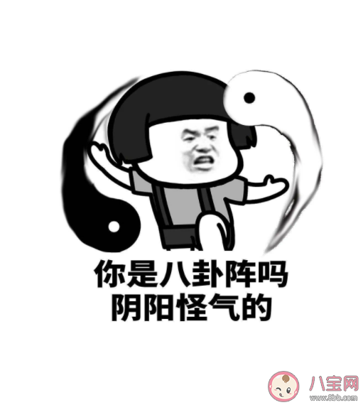 典中典是什么意思什么梗 典中典梗出處來源是哪里 典中典是什么意思什么梗 典中典梗出處來源是哪里