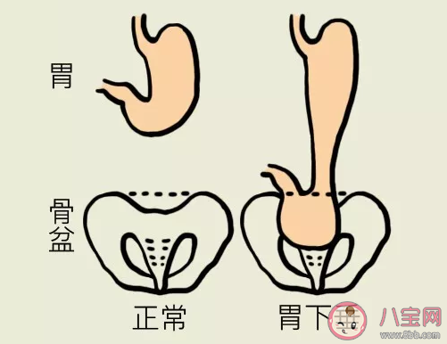 螞蟻莊園飯后立即運動會導致胃下垂這種說法 小課堂6月17日答案