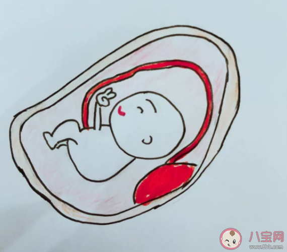 孕期貧血對孕婦和寶寶有什么危害 預防貧血孕婦應該怎么吃