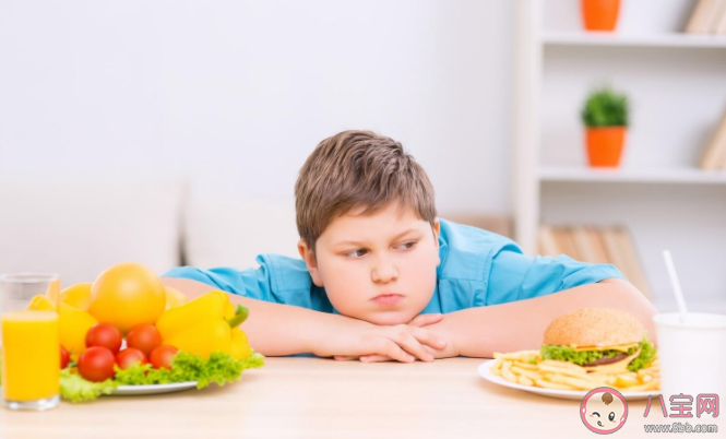 兒童肥胖受哪些方面原因影響 改善兒童肥胖的6個飲食規則