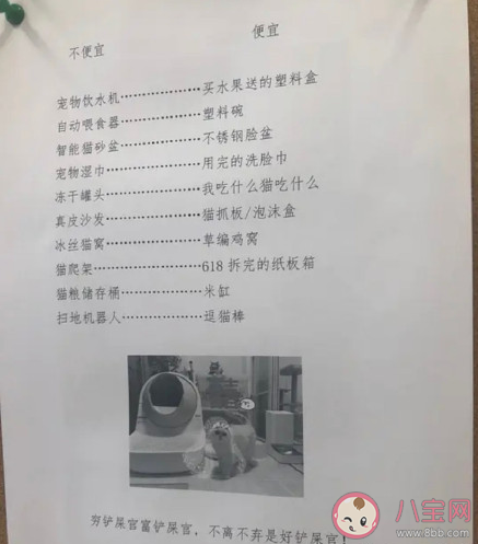 窮養(yǎng)貓和富養(yǎng)貓有什么區(qū)別 養(yǎng)一只寵物要花多少錢