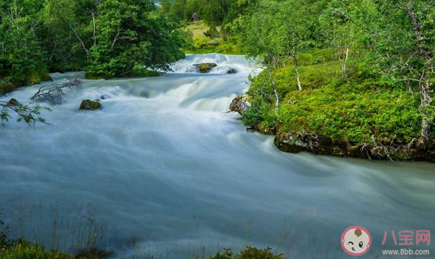 人往高處走水往低處流那水有可能往高處流嗎 螞蟻莊園今日6月25日答案