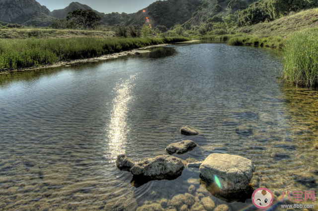 人往高處走水往低處流那水有可能往高處流嗎 螞蟻莊園今日6月25日答案