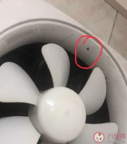 怎樣判斷賓館里是否被安裝攝像頭 哪些物品最容易被偽裝成偷拍設備