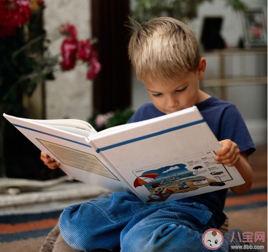 智商和出生月份有關系嗎 孩子是不是高智商可以看哪些地方 智商和出生月份有關系嗎 孩子是不是高智商可以看哪些地方