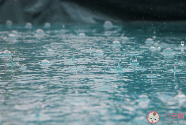 下雨天聽見雨聲后很容易平靜心情是因為什么 螞蟻莊園7月1日答案解析