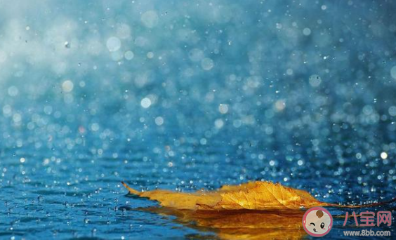 很多人聽見雨聲后很容易平靜心情這是因為 最新螞蟻莊園7月1日答案