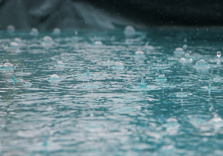 下雨天聽見雨聲后很容易平靜心情是因為什么 螞蟻莊園7月1日答案解析