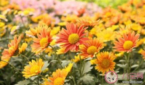 如何改掉晚睡強迫癥 晚睡怎么改正