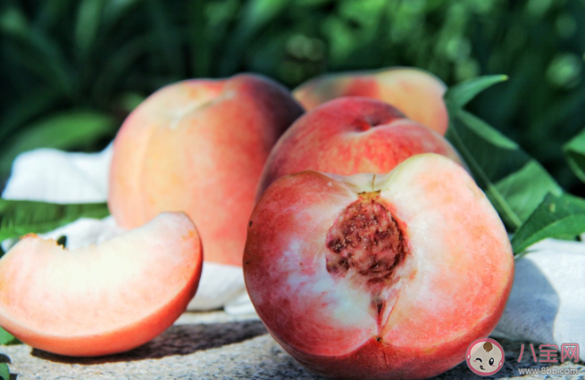 三伏天要多吃哪些水果 三伏天如何養生調理 三伏天要多吃哪些水果 三伏天如何養生調理