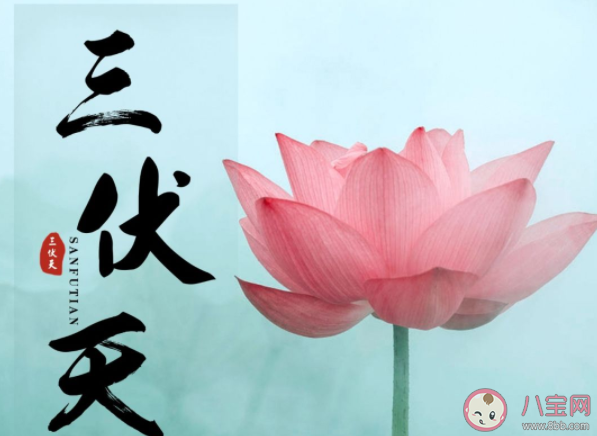 三伏天要多吃哪些水果 三伏天如何養生調理 三伏天要多吃哪些水果 三伏天如何養生調理