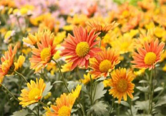 如何改掉晚睡強(qiáng)迫癥 晚睡怎么改正