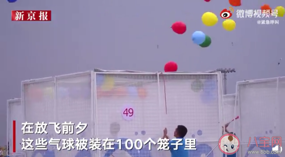 10萬只氣球放飛背后有什么秘密 什么樣的人能成為氣球放飛員