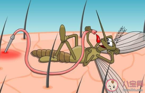 蚊子叮人有偏愛的血型嗎 螞蟻莊園7月4日答案