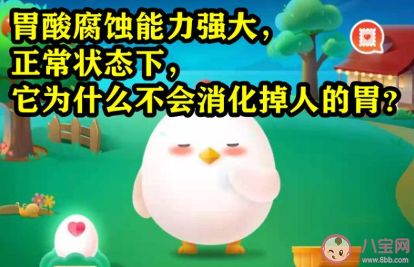 胃酸腐蝕能力強大為什么不會消化掉人的胃 螞蟻莊園7月6日答案解析 胃酸腐蝕能力強大為什么不會消化掉人的胃 螞蟻莊園7月6日答案解析