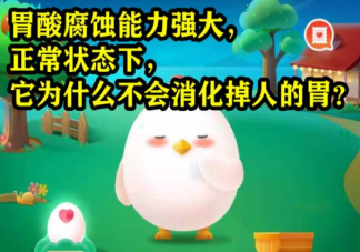 胃酸腐蝕能力強大為什么不會消化掉人的胃 螞蟻莊園7月6日答案解析