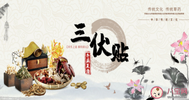 三伏貼為什么要在三伏天貼 三伏貼怎么選取穴位 三伏貼為什么要在三伏天貼 三伏貼怎么選取穴位