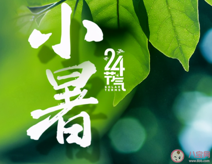 2021小暑養生吃什么食物 小暑養生飲食注意事項