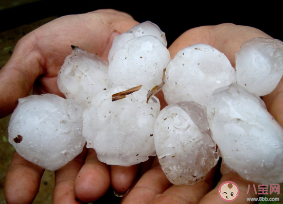 冰雹一般多發(fā)在哪個(gè)季節(jié) 螞蟻莊園7月10日正確答案 冰雹一般多發(fā)在哪個(gè)季節(jié) 螞蟻莊園7月10日正確答案