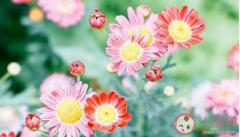 內向算不算性格缺陷 內向和性格缺陷是什么關系