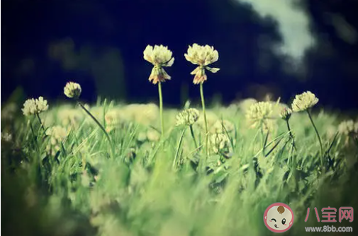 抖音我試著把你忘記可總在夜里想你是什么歌 《自愈》完整版歌詞在線聽歌